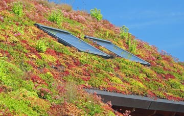 Kentford living roof systems