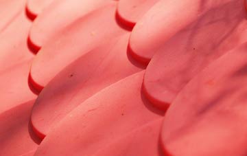 Kentford plastic roof costs