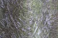Kentford fibreglass roof work